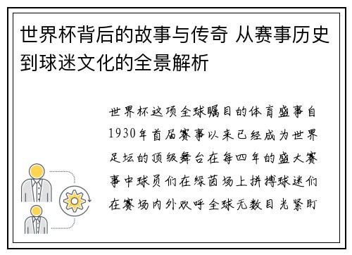 世界杯背后的故事与传奇 从赛事历史到球迷文化的全景解析