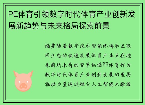 PE体育引领数字时代体育产业创新发展新趋势与未来格局探索前景